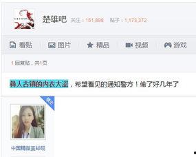 大盗爆料视频大全下载,惊心动魄的盗界风云